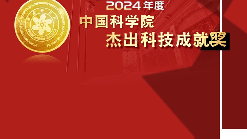 OA协同办公企业版与标准版：差异解析与选型指南